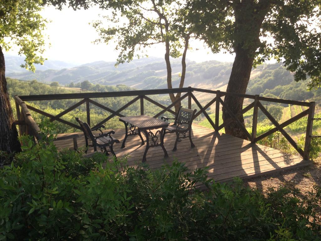 Agriturismo Erta Villa Casole d'Elsa Luaran gambar