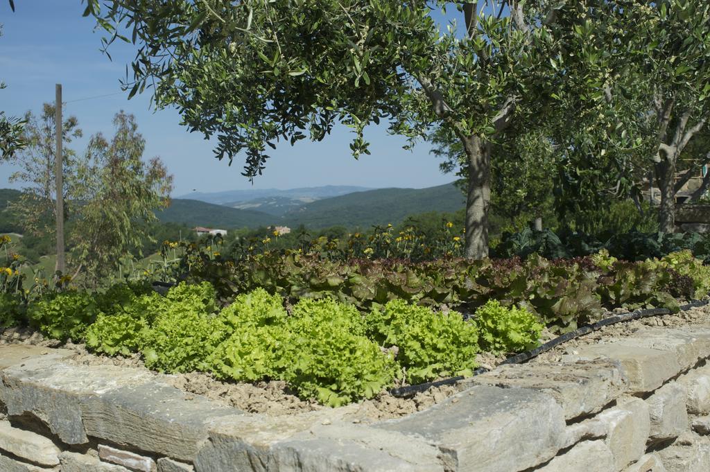 Agriturismo Erta Villa Casole d'Elsa Luaran gambar