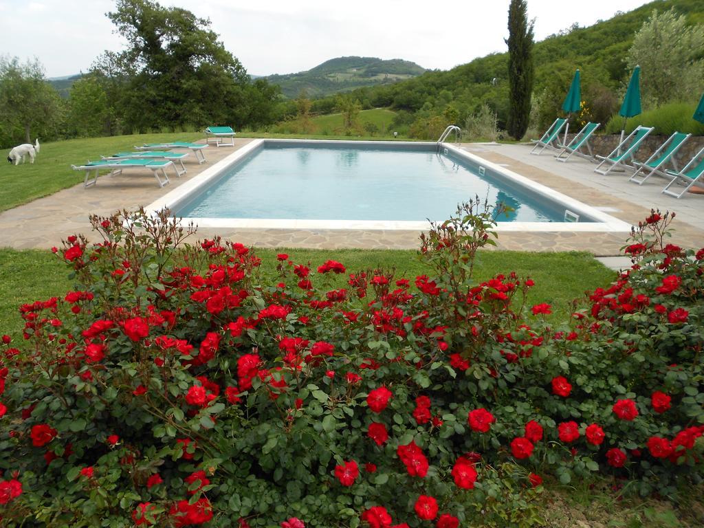 Agriturismo Erta Villa Casole d'Elsa Luaran gambar