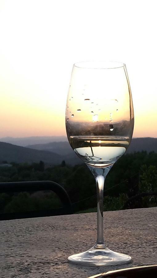 Agriturismo Erta Villa Casole d'Elsa Luaran gambar