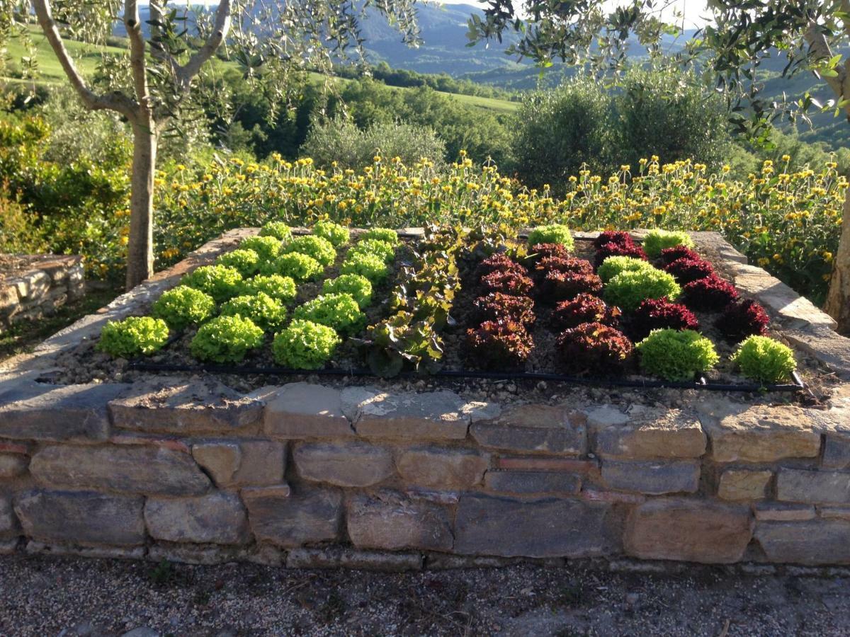Agriturismo Erta Villa Casole d'Elsa Luaran gambar