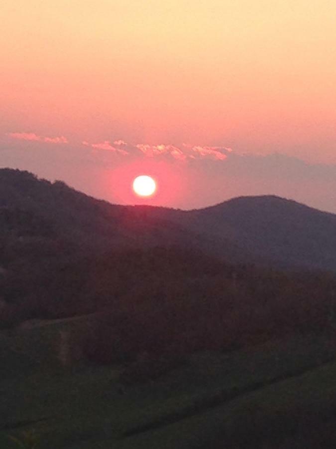 Agriturismo Erta Villa Casole d'Elsa Luaran gambar