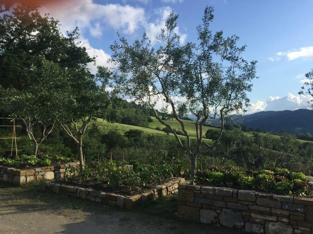 Agriturismo Erta Villa Casole d'Elsa Luaran gambar